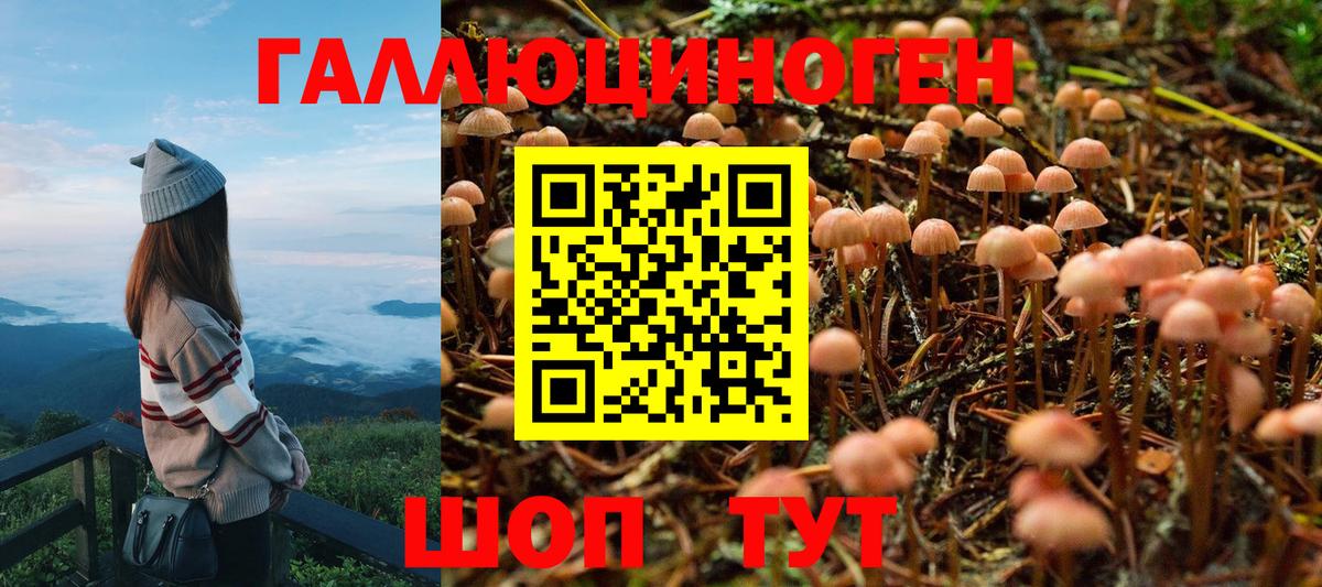 Урай  Псилоцибиновые грибы Magic Shrooms  Вход с VPN 