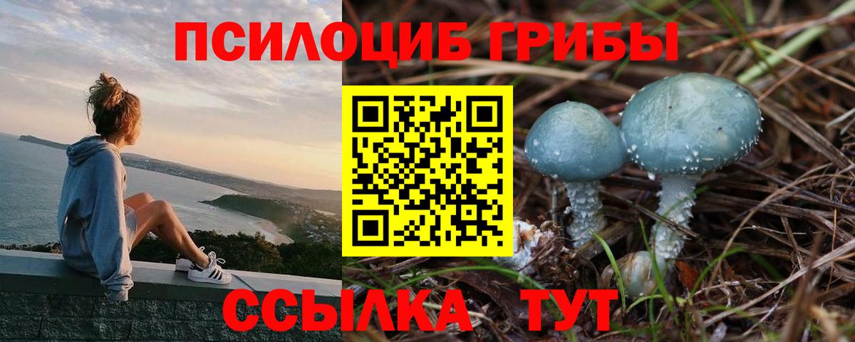 Галлюциногенные грибы MAGIC MUSHROOMS Урай